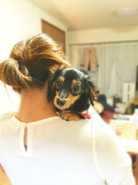 �}���V��������\���K�C�h �@�}���V��������������6�̃|�C���g