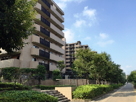 �}���V����,����,����,�s���Y���n��