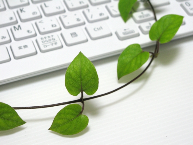 �ǓƎ�,���m�`��,���̕���,�}���V����,����